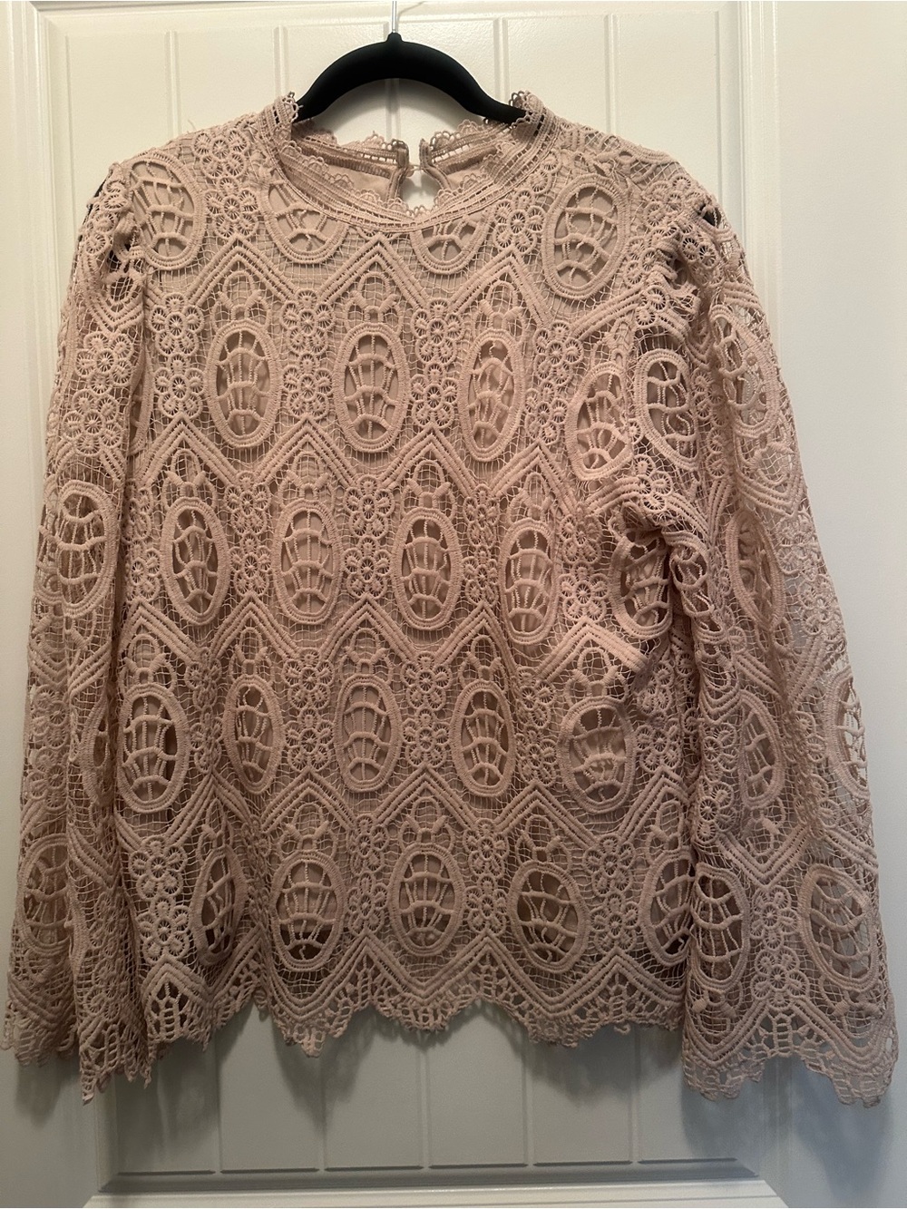 Women's Blush Lace Long-Sleeve Top (Never Worn)
